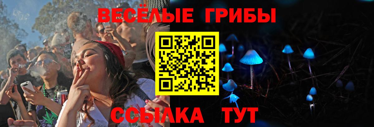 Магнитогорск  Галлюциногенные грибы Cubensis  Вход с VPN 